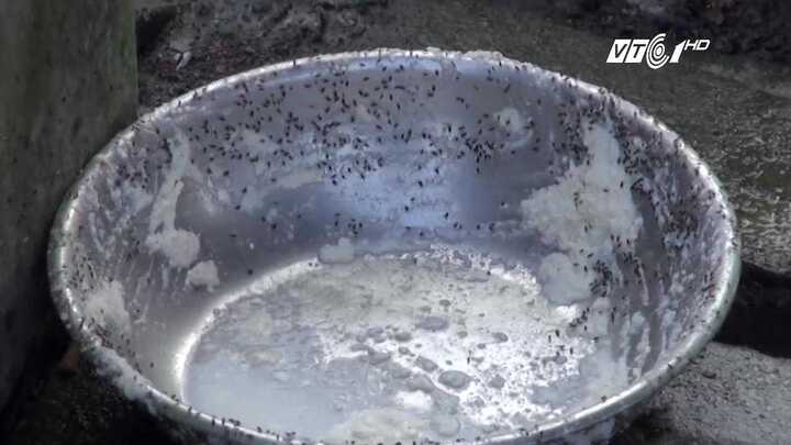 Rùng mình ngay giây đầu tiên xem clip sản xuất thực phẩm bẩn ở Quảng Ngãi!