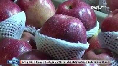 TP.HCM: Tiểu thương xé nhãn, trái cây Trung Quốc trà trộn thị trường cận Tết