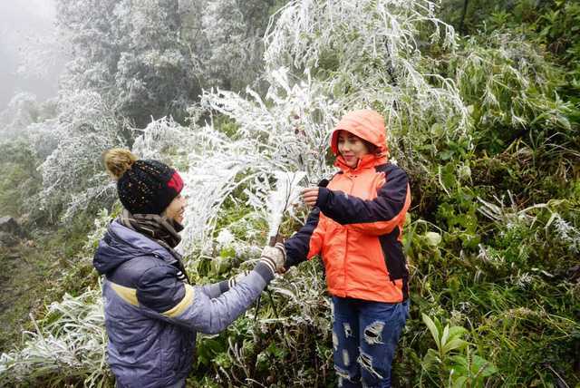 Băng giá xuất hiện gần đỉnh Phan Xi Păng: Sapa sẽ có tuyết rơi vài ngày tới?