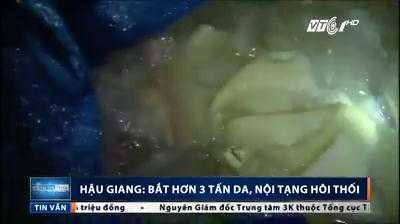 Clip: Bắt giữ hơn 3 tấn da, nội tạng lúc nhúc dòi, bốc mùi hôi thối