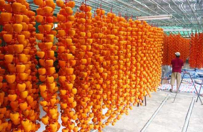 Hồng sấy kiểu Nhật giá nửa triệu đồng/kg