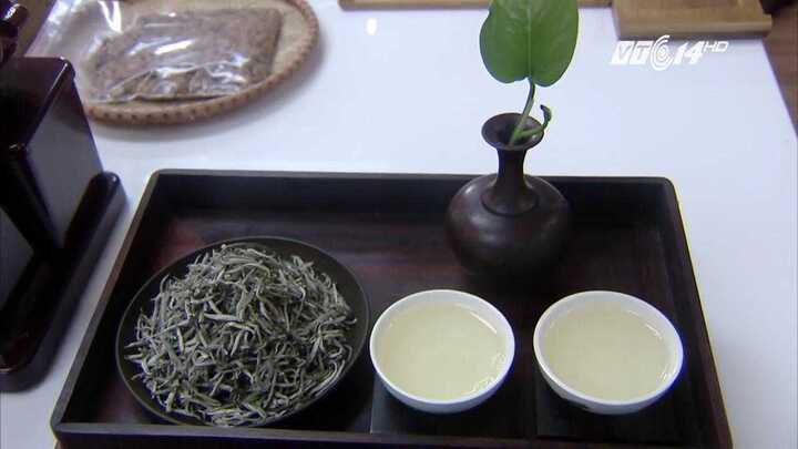 Cách thưởng thức bạch trà - 'chúa tể' của các loại trà