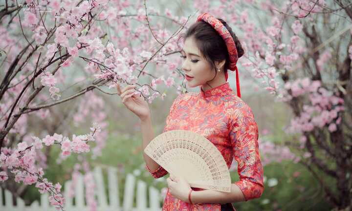Hoa khôi sinh viên Hà Nội 2016 khoe sắc bên đào Xuân đón Tết