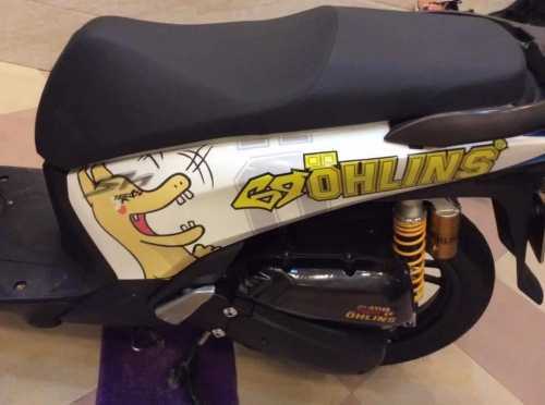 SH 'rồng Pikachu' gây bão ở Hải Phòng