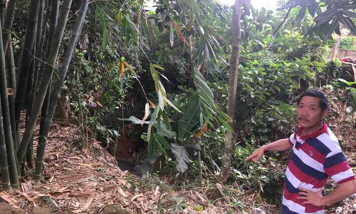 Cụ bà tá hoả phát hiện nam thanh niên treo cổ tại bụi tre