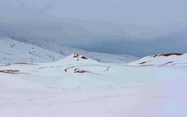 Tuyết dày 1 mét phủ trắng sa mạc nóng nhất hành tinh