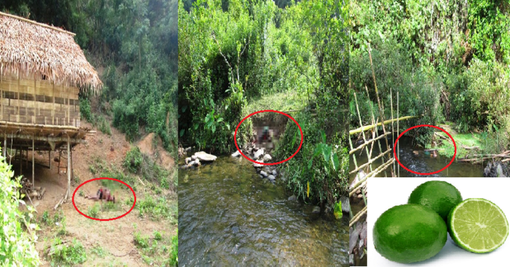 3 quả chanh 'tố cáo' kẻ sát hại 4 người trong một gia đình ở Nghệ An