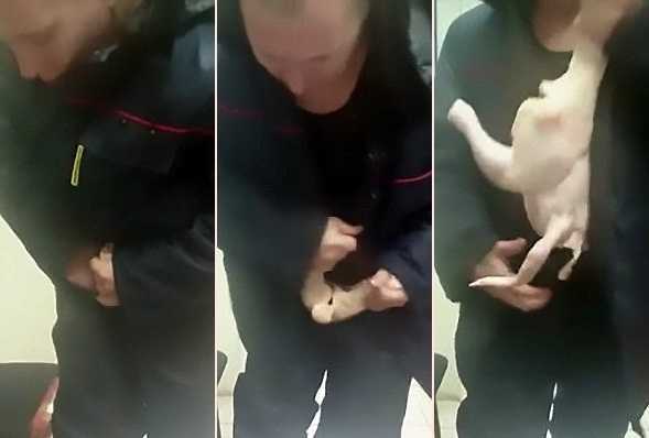 Clip: 'Quý ông' trộm gà nguyên con trong siêu thị, nhét vào quần