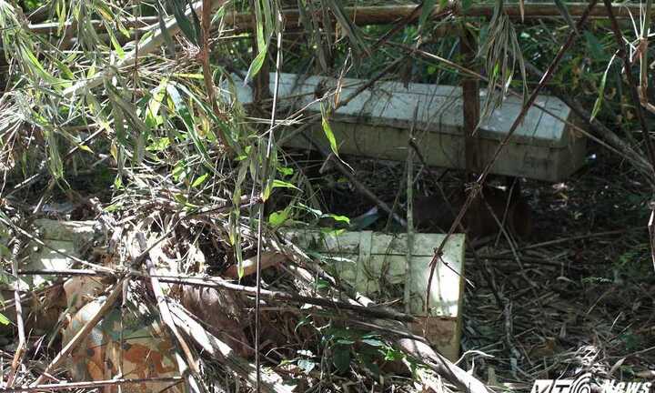 Chuyện kỳ bí và khó lý giải về khu rừng bày người chết trên mặt đất ở Tây Nguyên