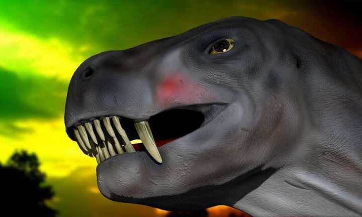 Tìm thấy loài bò sát lớn như chó, có nọc độc hơn cả rắn