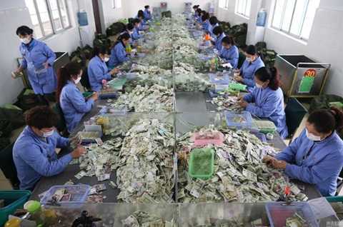 Choáng với 'núi tiền' mà công ty xe buýt phải kiểm đếm mỗi ngày