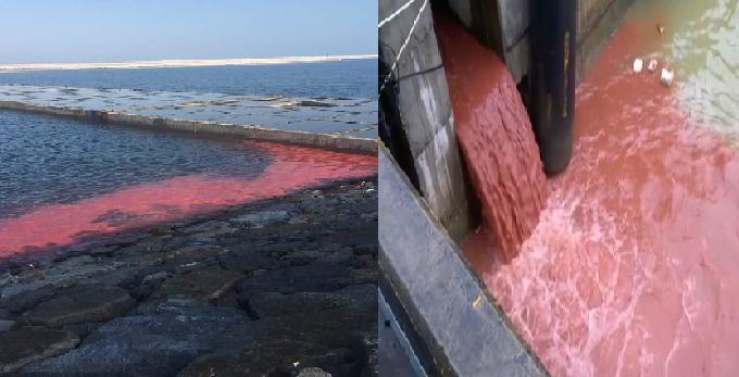 Clip cống xả nước thải màu đỏ quay ở Formosa là thông tin thất thiệt