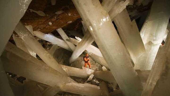 'Siêu sự sống' có tuổi đời lên đến 60.000 năm