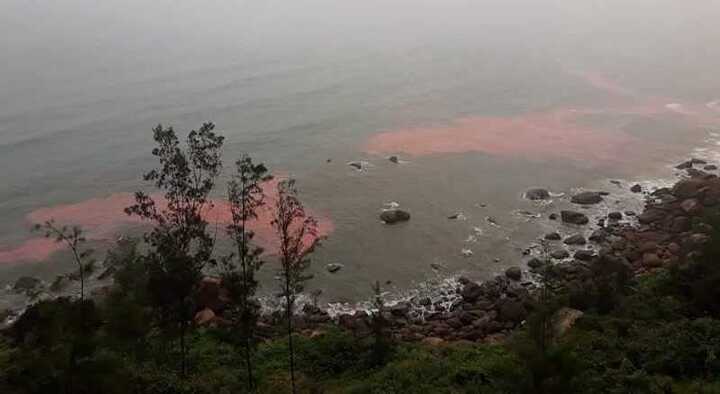 Biển Thừa Thiên – Huế liên tục xuất hiện dải nước màu đỏ