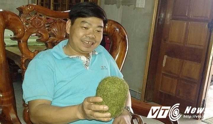 Mổ lợn nái nuôi 7 năm, phát hiện vật nghi 'trư sa'