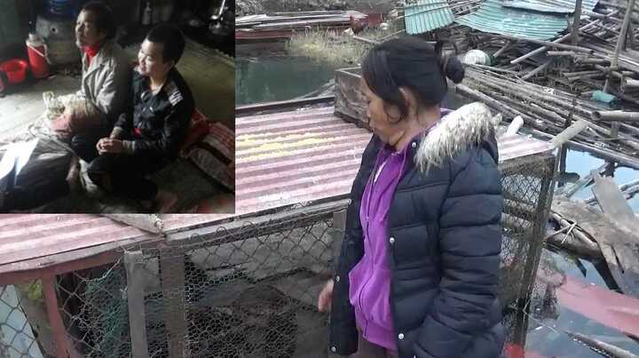 'Chị Dậu' ở hồ Thủy điện Hòa Bình: 'Bán đàn chó không đủ tiền chữa bệnh'