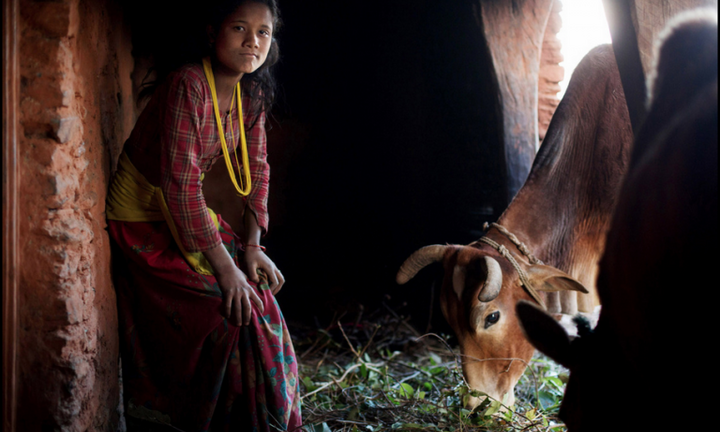 Ở nơi phụ nữ bị cấm vào nhà, phải ăn ngủ ngoài chuồng bò vào 'ngày đèn đỏ'