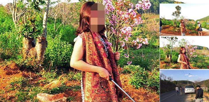 Nữ phó giám đốc sở bị 'tố' bẻ hoa anh đào: Lãnh đạo Bình Thuận lên tiếng