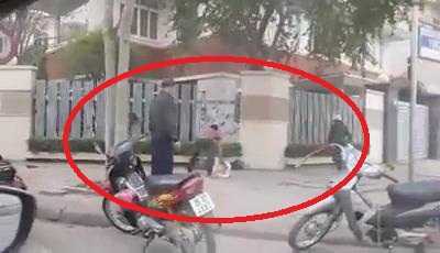 Video: Hò nhau vây bắt nhím ‘khổng lồ’ trên phố Hà Nội