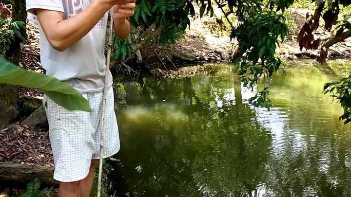 Đến trụ sở công an báo bị mất trộm cá, người đàn ông đột tử