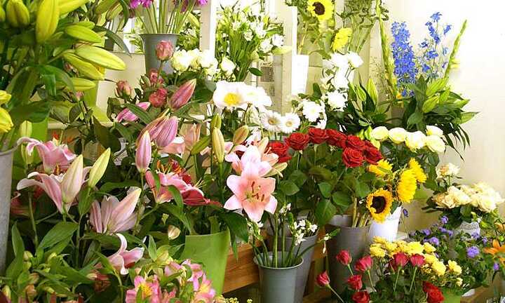 Quà tặng ngày Quốc tế Phụ nữ 2017: Hoa hồng tăng giá chóng mặt, hàng bình dân hút khách