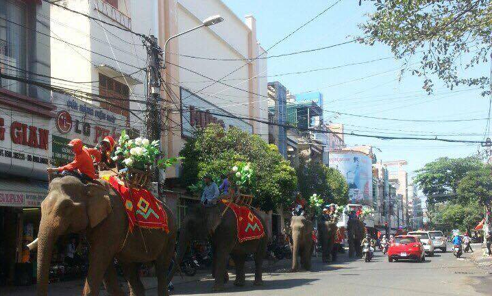 Hàng nghìn du khách đổ về Lễ hội cà phê Tây Nguyên 2017