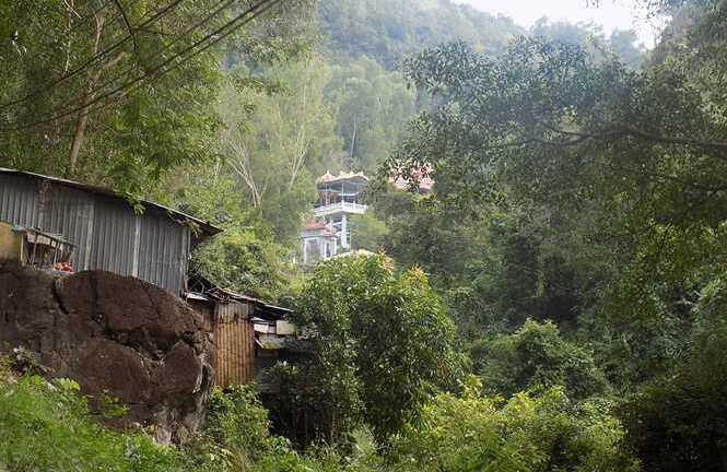 Thực hư bốn gốc kỳ nam được Bà Chúa trấn yểm cho 'xứ trầm hương'?