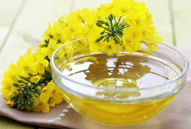 Công dụng làm đẹp không thể ngờ từ dầu hạt cải