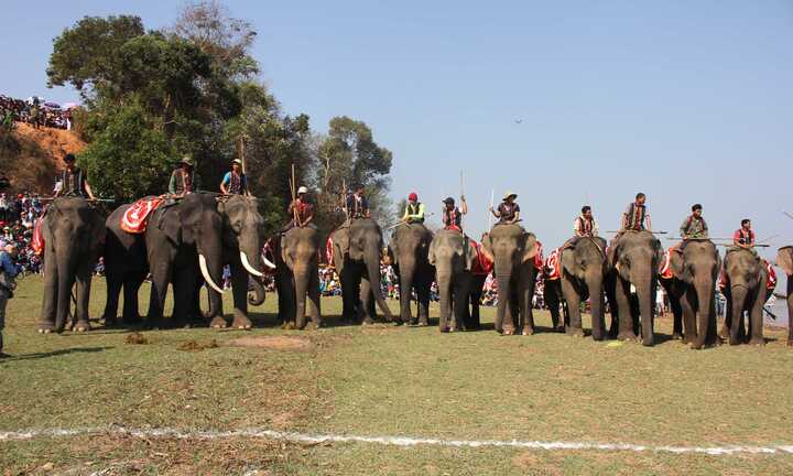 Mãn nhãn hội đua voi, đua thuyền Tây Nguyên