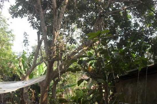 Mâu thuẫn với bạn, nam thanh niên treo cổ sau nhà