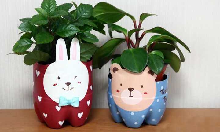 Giờ Trái đất 2017