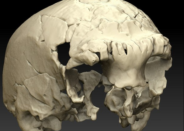 Phát hiện hộp sọ bí ẩn hé lộ tổ tiên của loài người