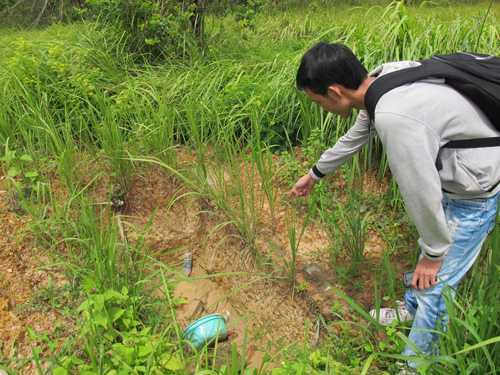 Ly kỳ những phi vụ ‘kền kền’ trộm xác tử tù ở nghĩa địa tại Sài thành