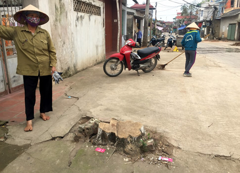 Hà Nội dẹp 'cướp' vỉa hè: Vì sao chặt hàng loạt cây xanh người dân trồng ven đường?
