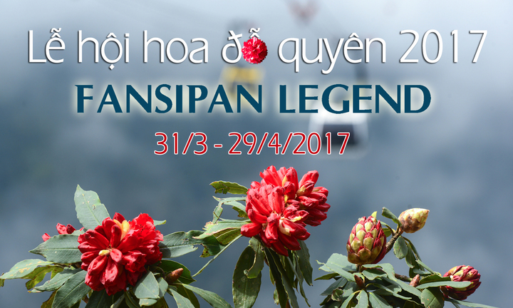 Fansipan Legend: Điểm hẹn lãng mạn mùa hoa Đỗ Quyên