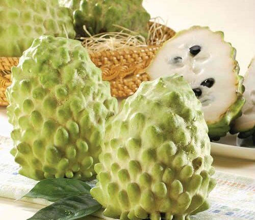 Mãng cầu Đài Loan giá 400.000 đồng/kg 'cháy hàng'