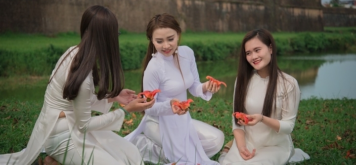 Ảnh: Ngắm thiếu nữ Huế thướt tha áo dài bên hoa gạo tháng 3