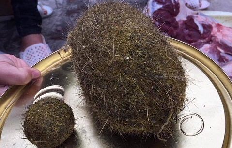 Mổ lợn, phát hiện 2 vật thể lạ nghi 'cát lợn' ở Hải Dương