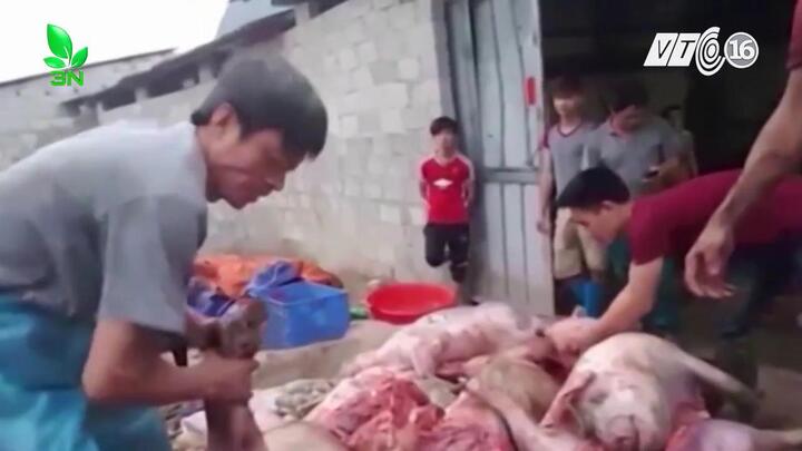Triệt phá cơ sở chế biến thịt lợn thối thành 'đặc sản hun khói' ở Cao Bằng