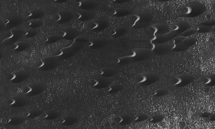 Phát hiện đàn sinh vật ngoài hành tinh trên sao Hỏa