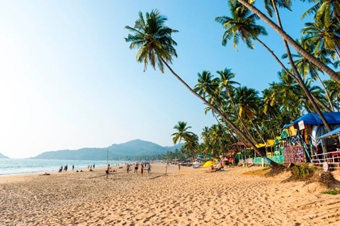 Công ty tuyển người đi du lịch 3 tháng, trả lương 700 triệu đồng