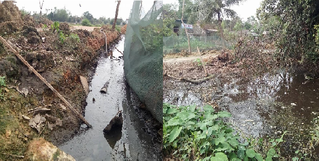 Trại lợn gây ô nhiễm, dân nghẹt thở, trùm màn ăn cơm