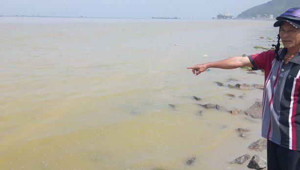 Xác định nguyên nhân vệt nước màu vàng ở biển Thừa Thiên - Huế