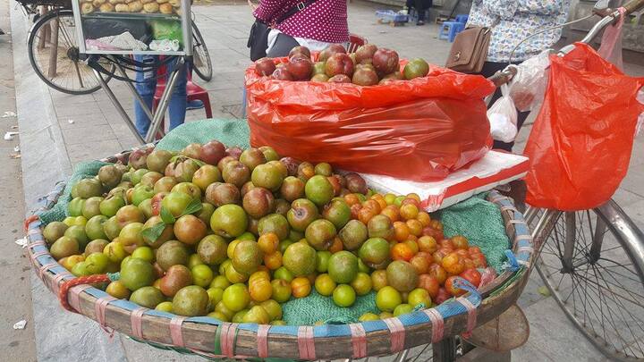 Mận đầu mùa vừa chua vừa chát, giá 200.000 đồng/kg vẫn đắt hàng