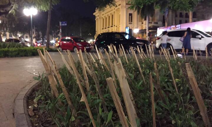 Hà Nội cắm 'chông' bảo vệ hoa công viên gây phản cảm