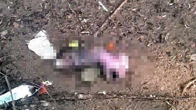 Rùng mình phát hiện cẳng chân người trong bãi rác ở Trà Vinh