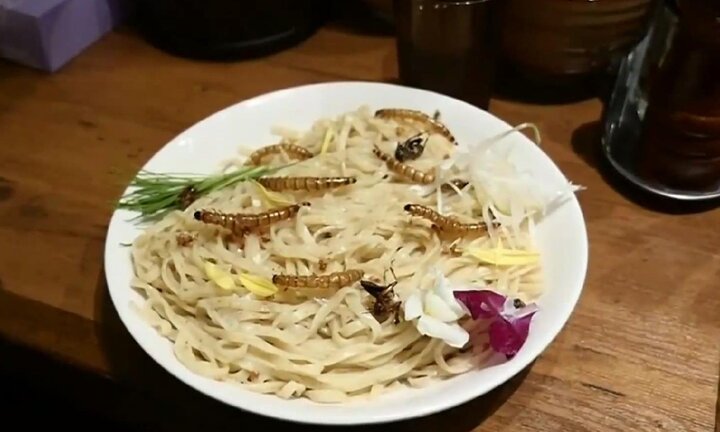 Người Nhật rộ trào lưu ăn mỳ côn trùng