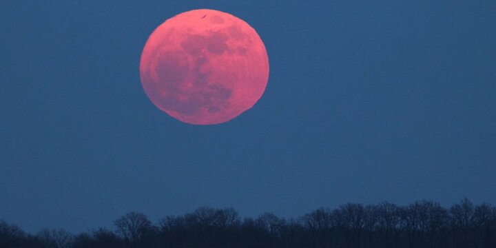 Đêm nay, Trăng hồng độc đáo sẽ xuất hiện