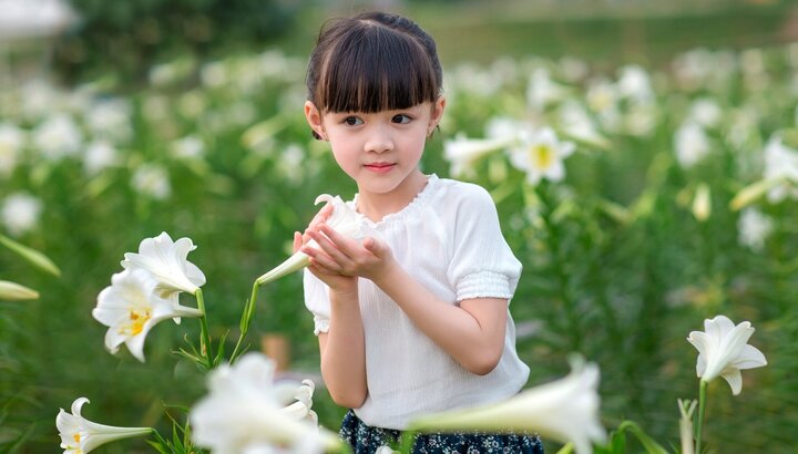 Bé gái 5 tuổi dễ thương toả sáng bên cánh đồng hoa loa kèn