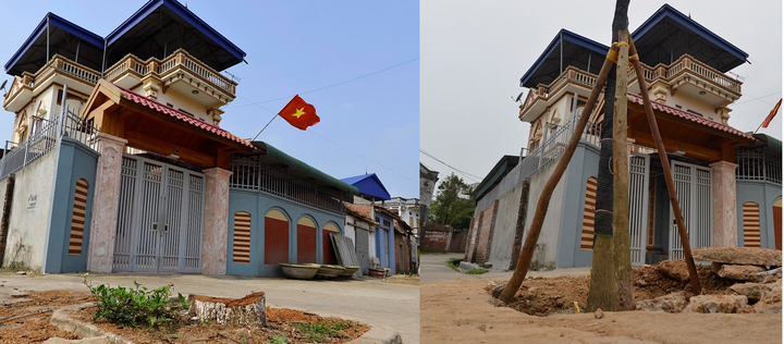 Ảnh: Trồng lại cây ngay chỗ vừa chặt sau chiến dịch dẹp vỉa hè